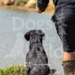 S11-3-28-26 7 – Terry
