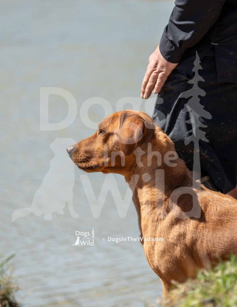 S12-3-28-26 4 – Ruby