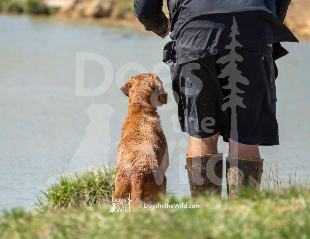 S12-3-28-26 6 – Ruby