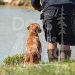 S12-3-28-26 6 – Ruby