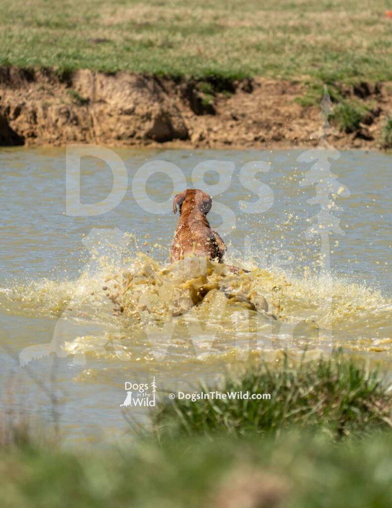 S12-3-28-26 7 – Ruby