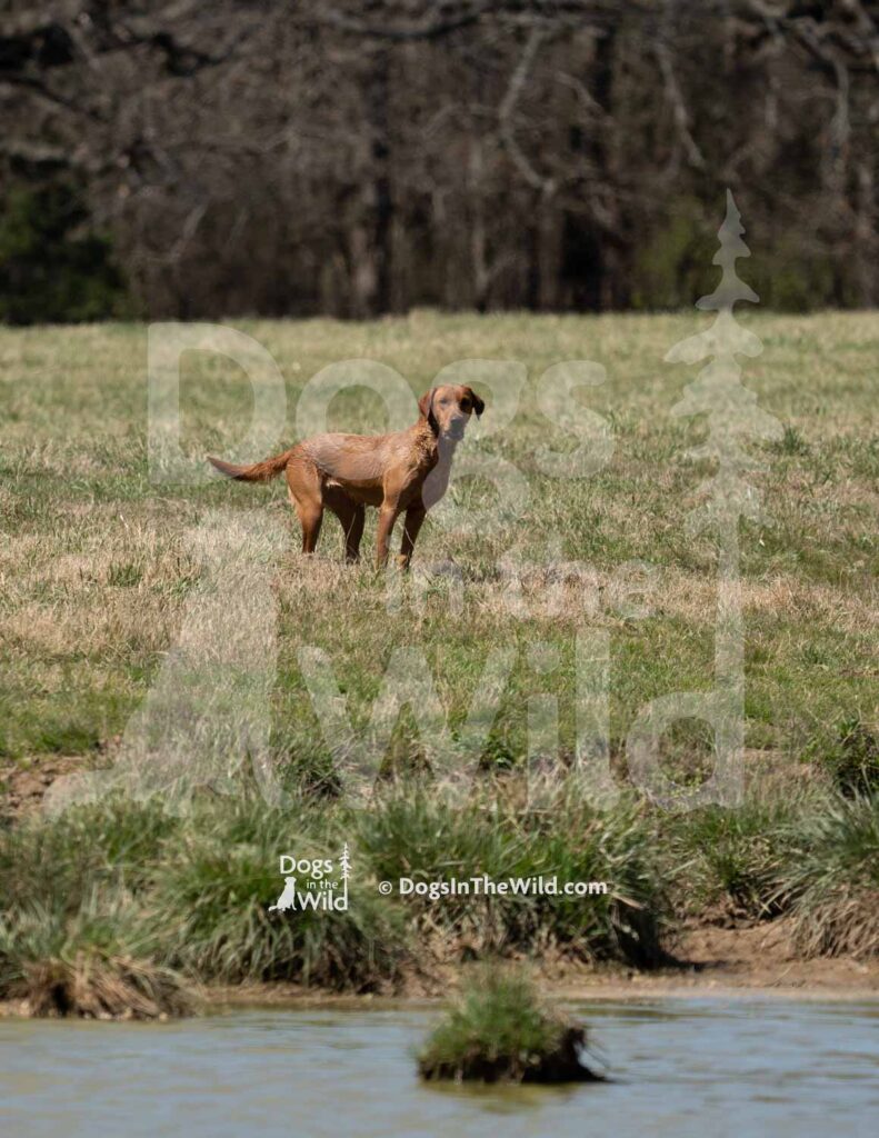 S12-3-28-26 8 – Ruby