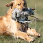 S2-3-28-26 5 – Macklin