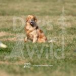 S2-3-28-26 8 – Macklin