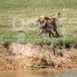 S2-3-28-26 11 – Macklin