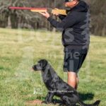 S3-3-28-26 1 – Bam
