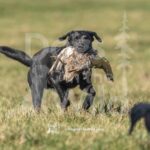 S3-3-28-26 2 – Bam