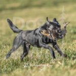 S3-3-28-26 3 – Bam