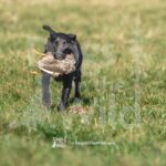 S3-3-28-26 4 – Bam