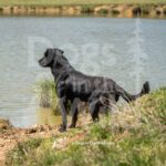 S3-3-28-26 5 – Bam