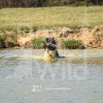 S3-3-28-26 6 – Bam