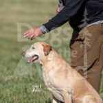 S4-3-28-26 1 – Teal