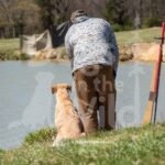 S4-3-28-26 5 – Teal