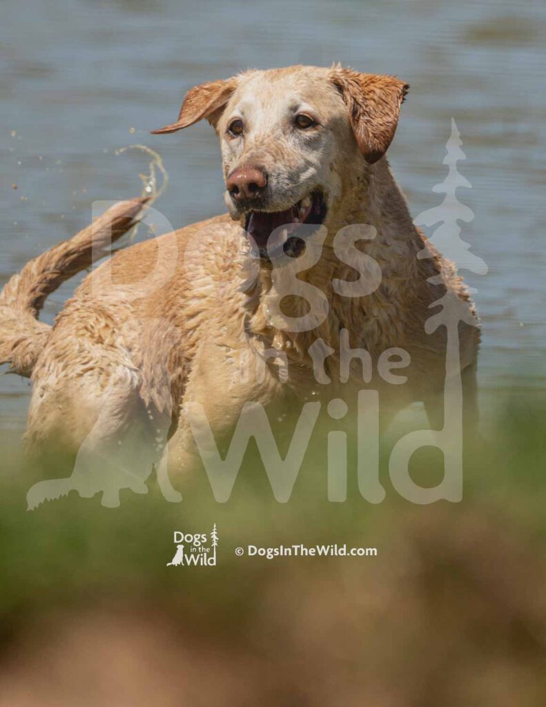 S4-3-28-26 6 – Teal