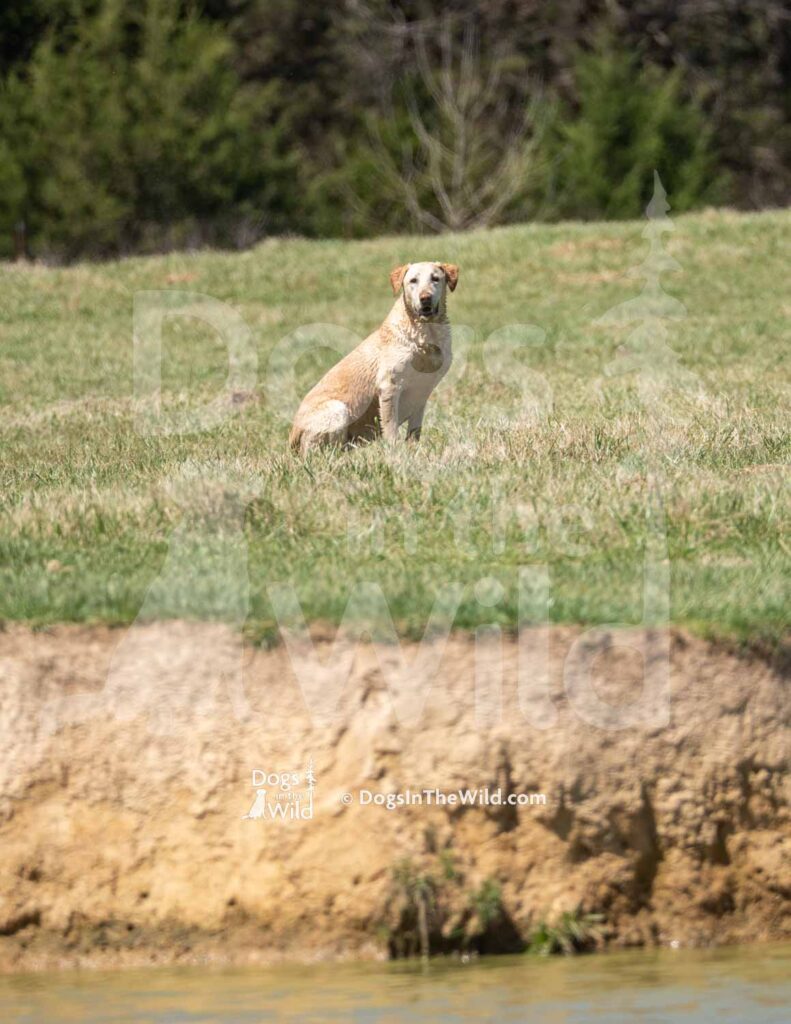 S4-3-28-26 8 – Teal