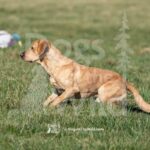 S6-3-28-26 2 – Jax