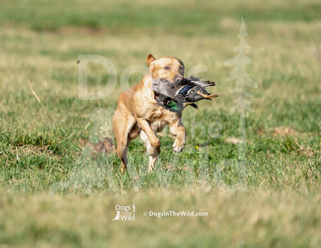 S6-3-28-26 3 – Jax