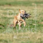 S6-3-28-26 3 – Jax