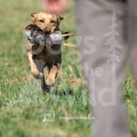 S6-3-28-26 7 – Jax