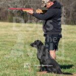 S7-3-28-26 1 – Pratt