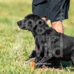 S7-3-28-26 3 – Pratt