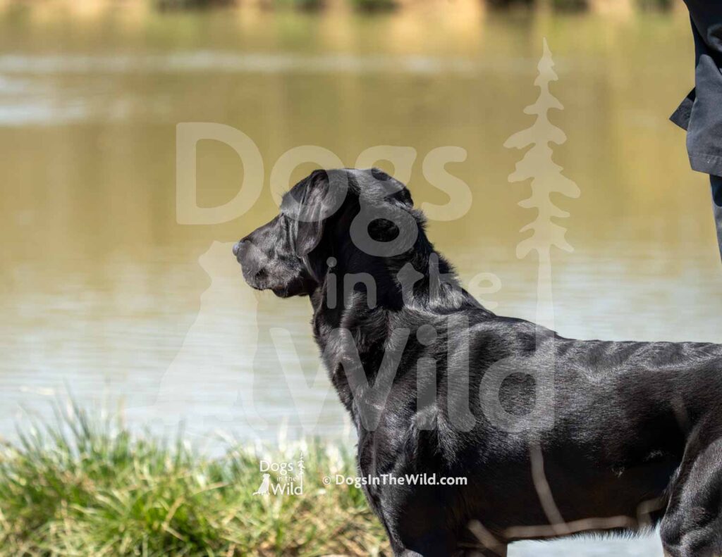 S7-3-28-26 6 – Pratt