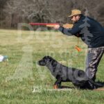 S8-3-28-26 1 – Jett