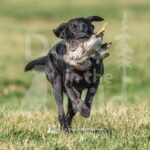S8-3-28-26 2 – Jett