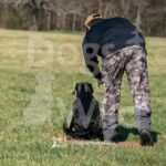 S8-3-28-26 5 – Jett