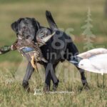 S8-3-28-26 6 – Jett