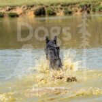S8-3-28-26 7 – Jett