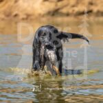 S8-3-28-26 8 – Jett