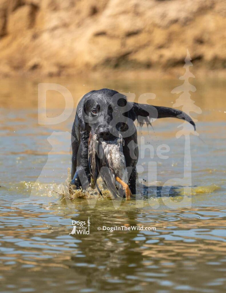 S8-3-28-26 8 – Jett