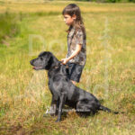 J11 5-17-26-5 Harley