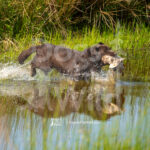 J12 5-17-26-3 Sally