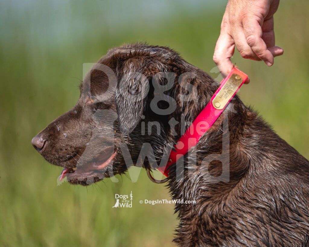 J15 5-17-26-6 Molly
