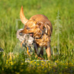 J20 5-17-26-2 Tilly