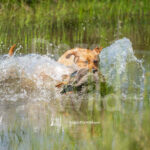 J20 5-17-26-3 Tilly