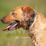 J20 5-17-26-4 Tilly