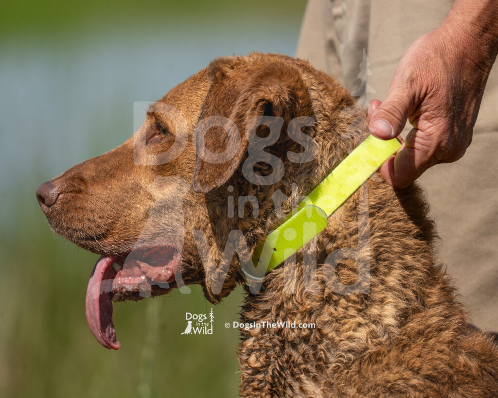 J3 5-17-26-4 Koda