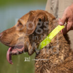 J3 5-17-26-4 Koda