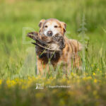 J4 5-17-26-2 Kensie