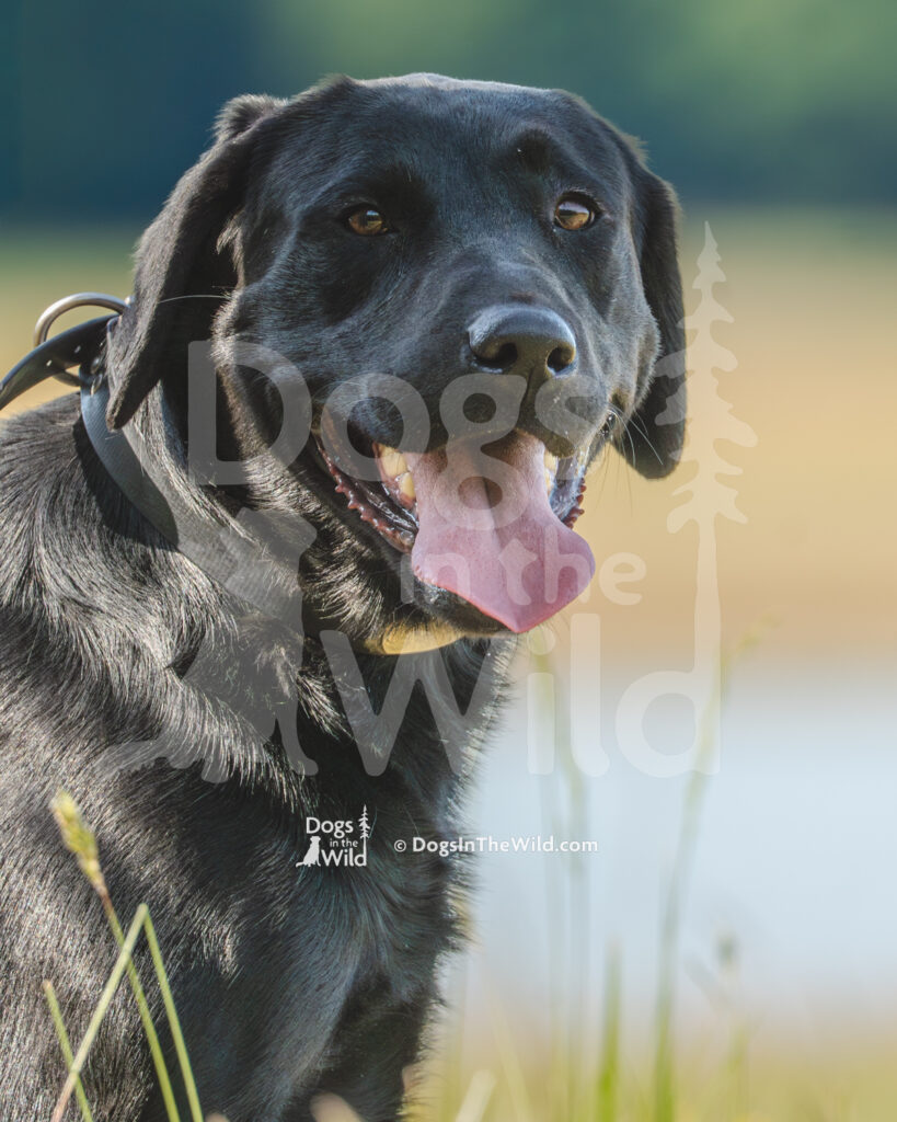 J7 5-17-26-2 Parker