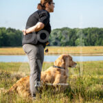 J9 5-17-26-2 Dexter