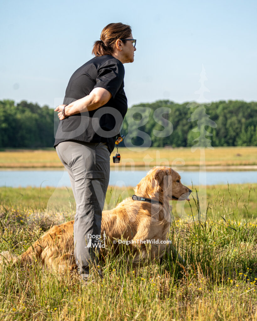J9 5-17-26-2 Dexter