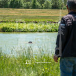 M14 5-16-26-2 Willow