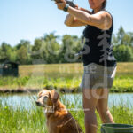 M18 5-16-26-1 Brinkley