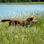 M20 5-16-26-3 Ember