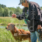 M20 5-16-26-4 Ember