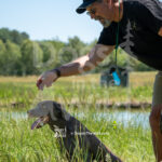 M32 5-16-26-3 Toddy